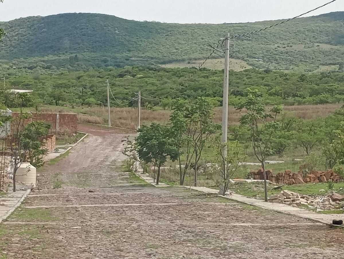 4 de 6