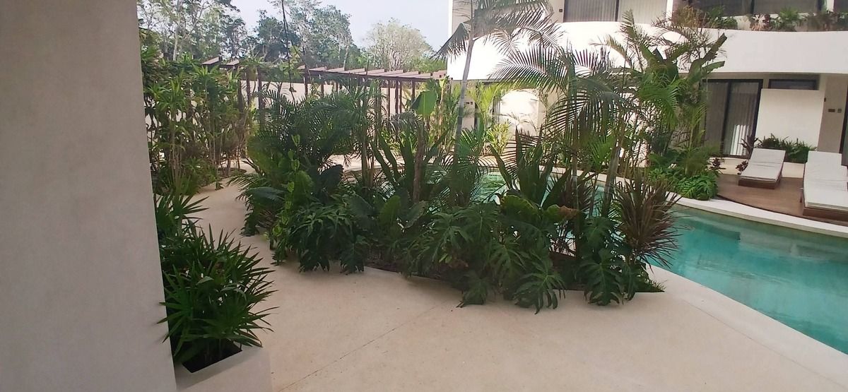 2 de 34: Luxury hotel exterior: swimming pool, lounge chairs, greener