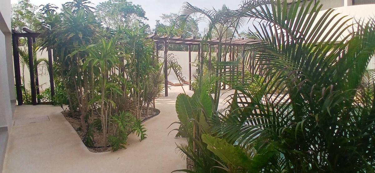 3 de 34: Architectural resort design: pool, patio