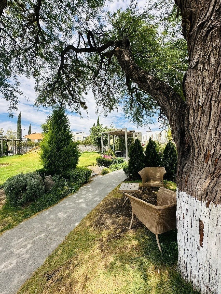 33 de 34