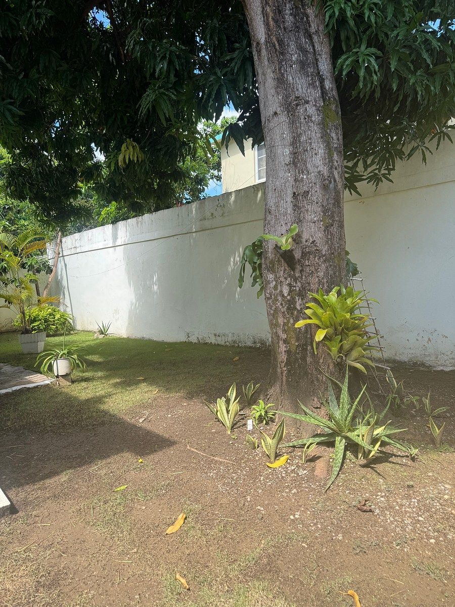 Apartment in San Felipe de Puerto Plata, photo 20 of 20