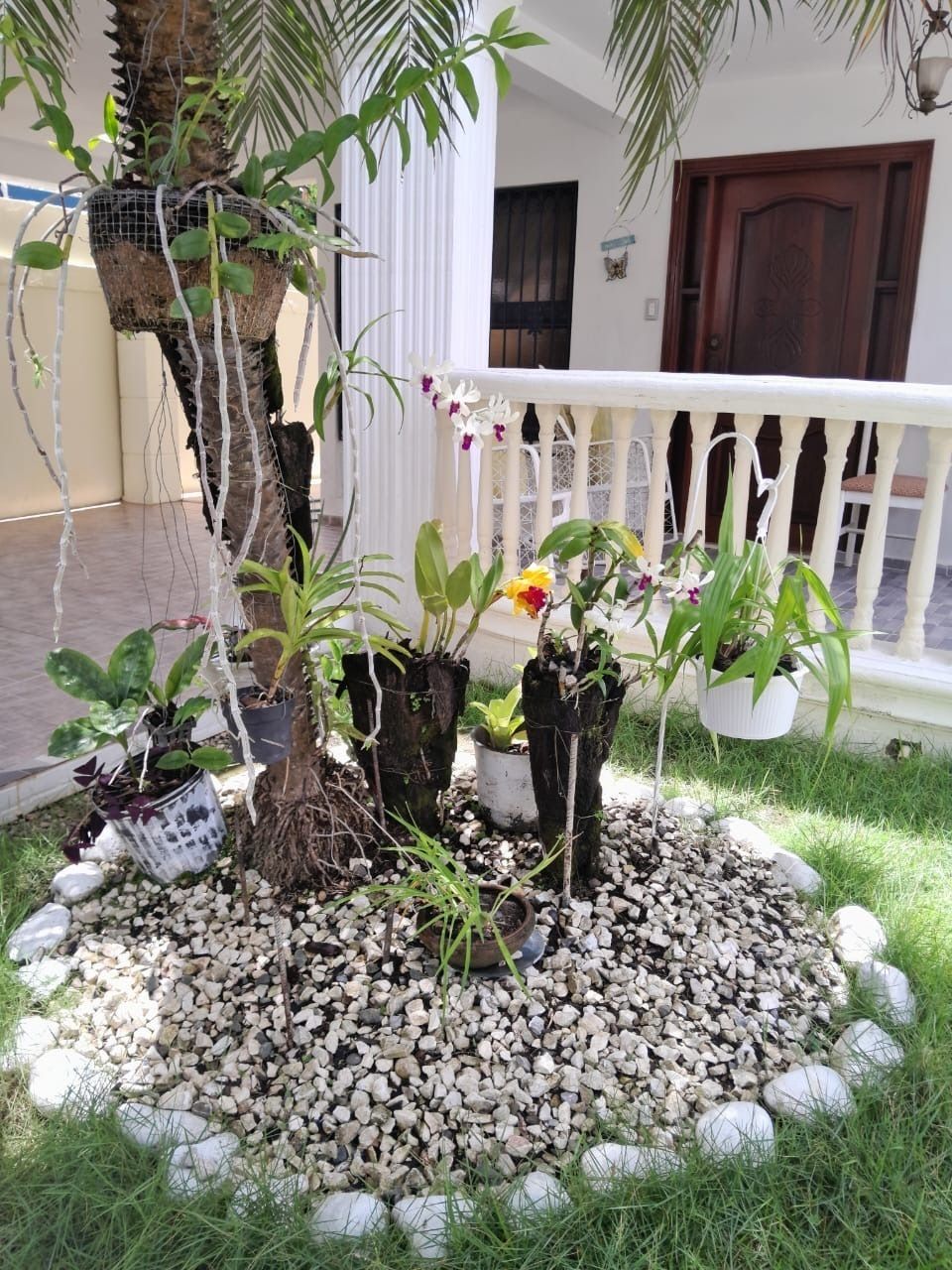 Apartment in San Felipe de Puerto Plata, photo 3 of 20