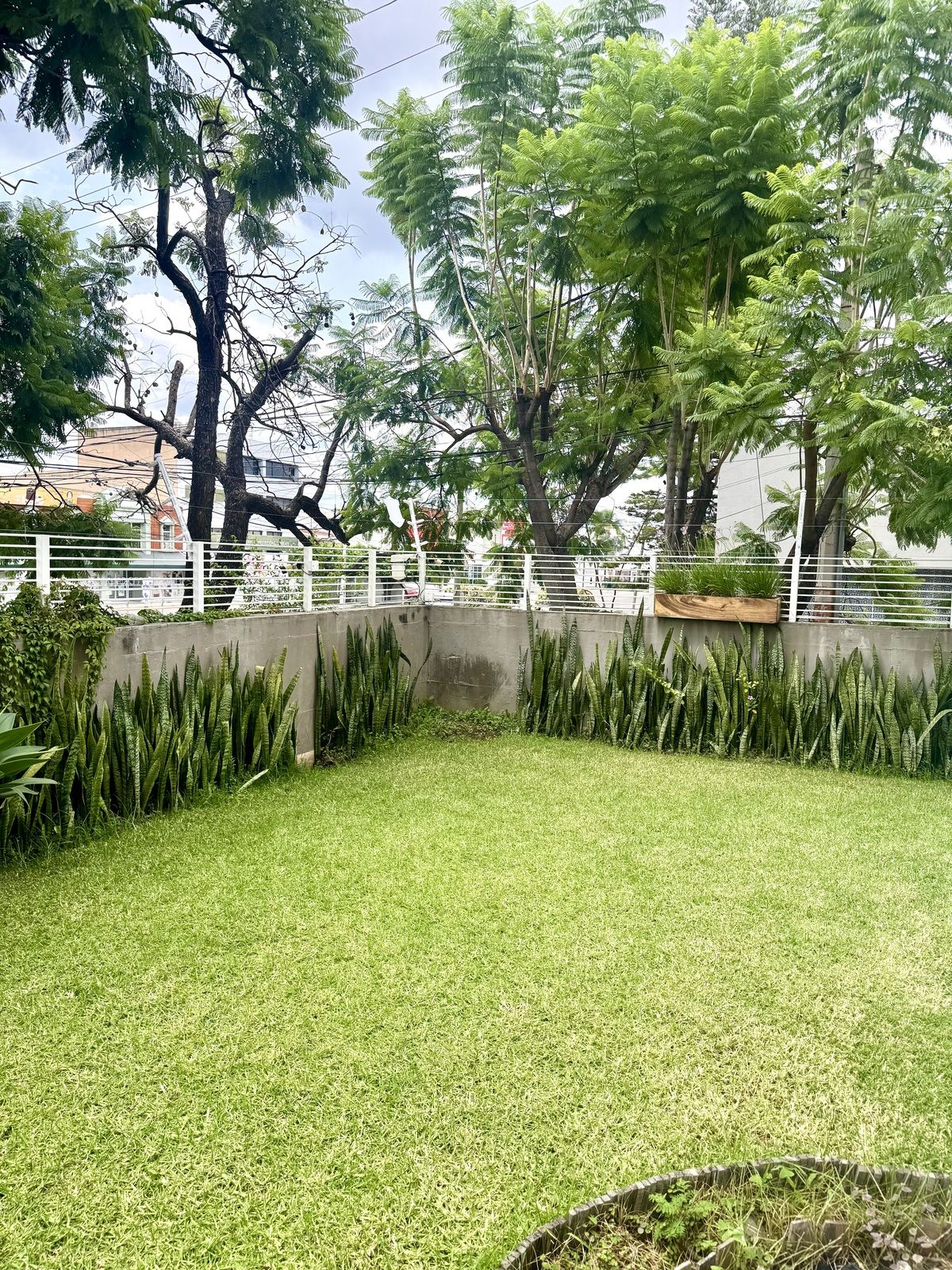 5 de 29: Jardín área común