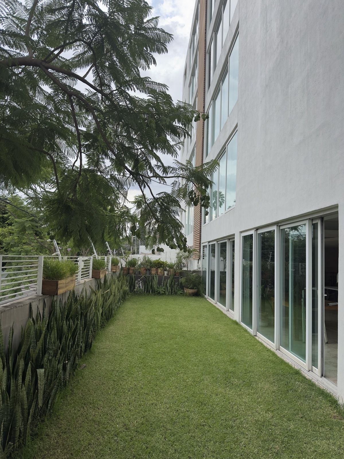 2 de 29: Jardín área común