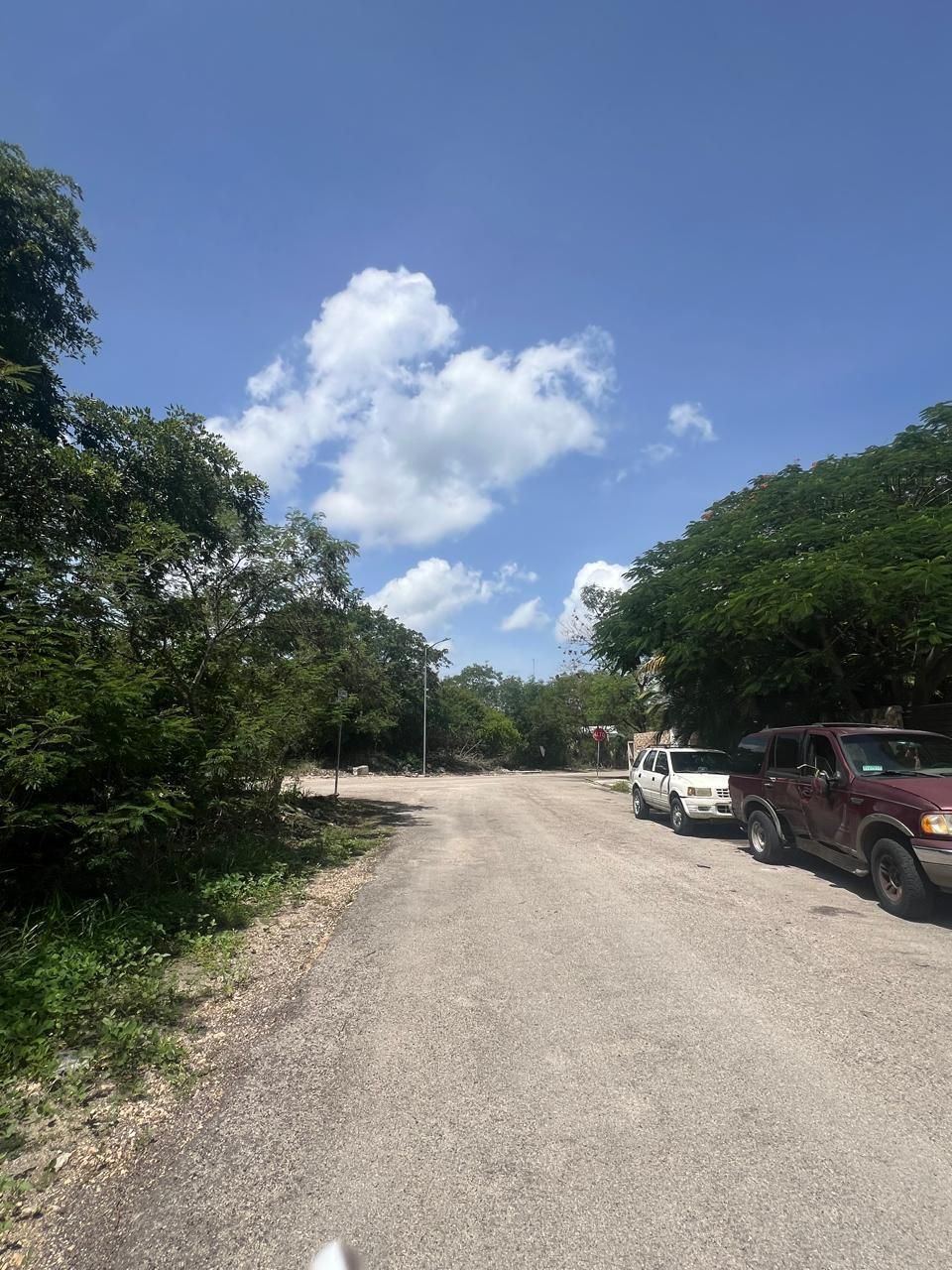 7 de 8