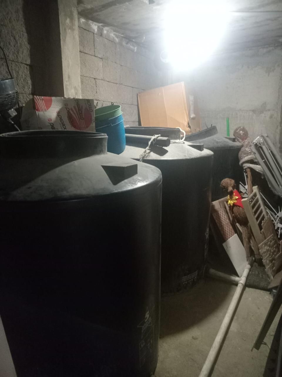 10 de 24