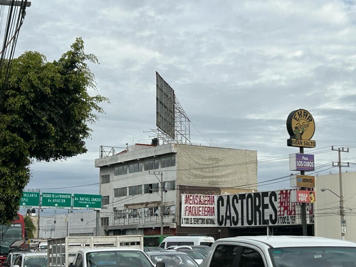 5 de 11