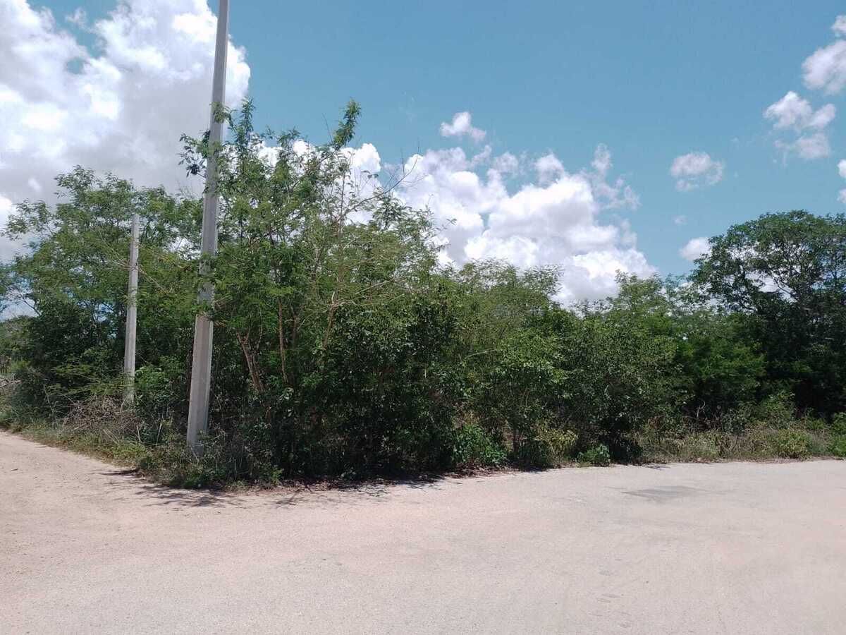 4 de 6