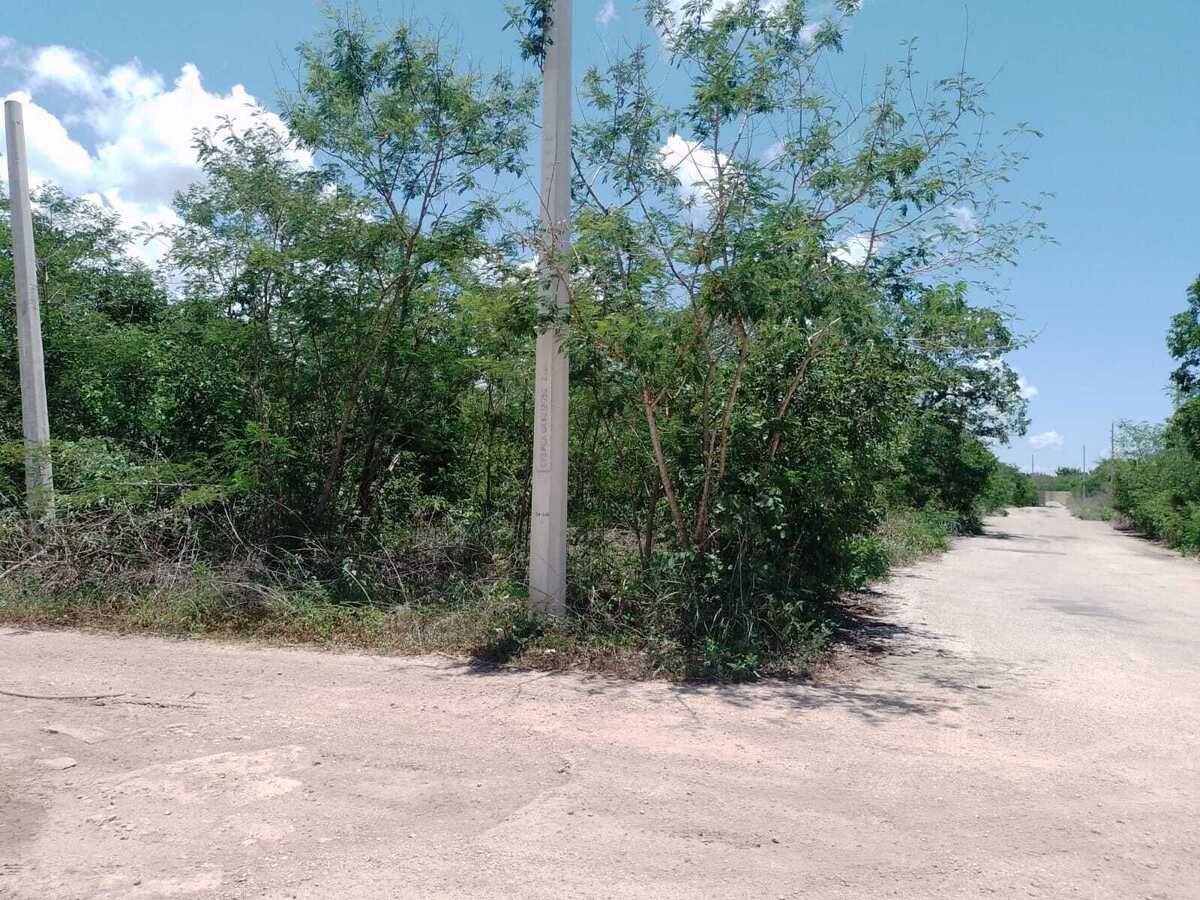 3 de 6