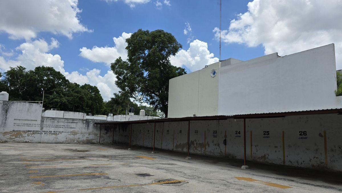 6 de 27
