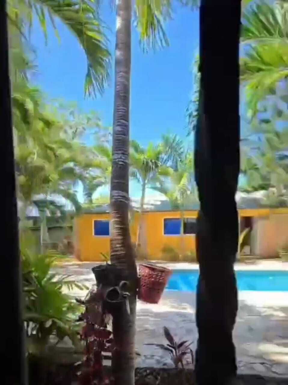 6 de 23