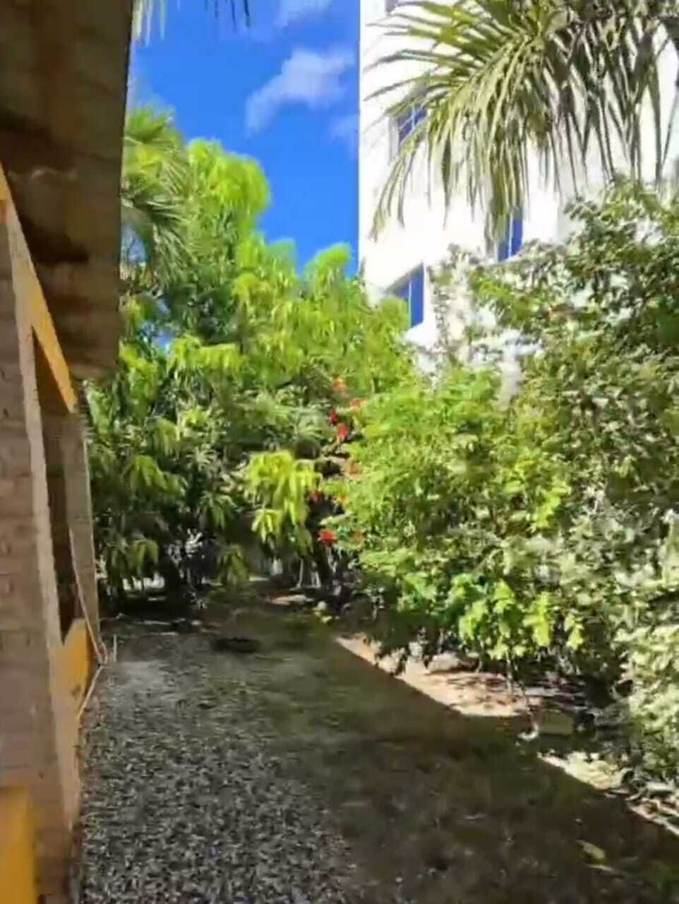 9 de 23