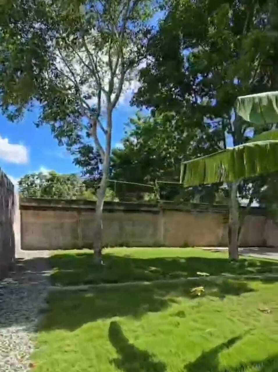 10 de 23