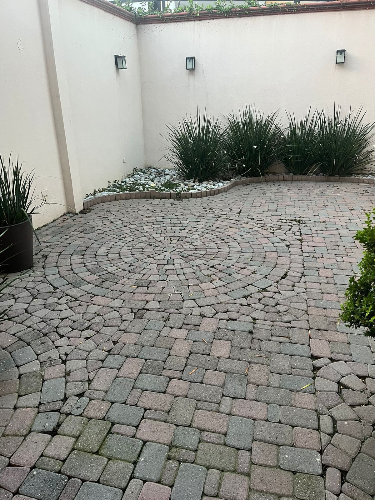 3 de 11: Patio/Terraza