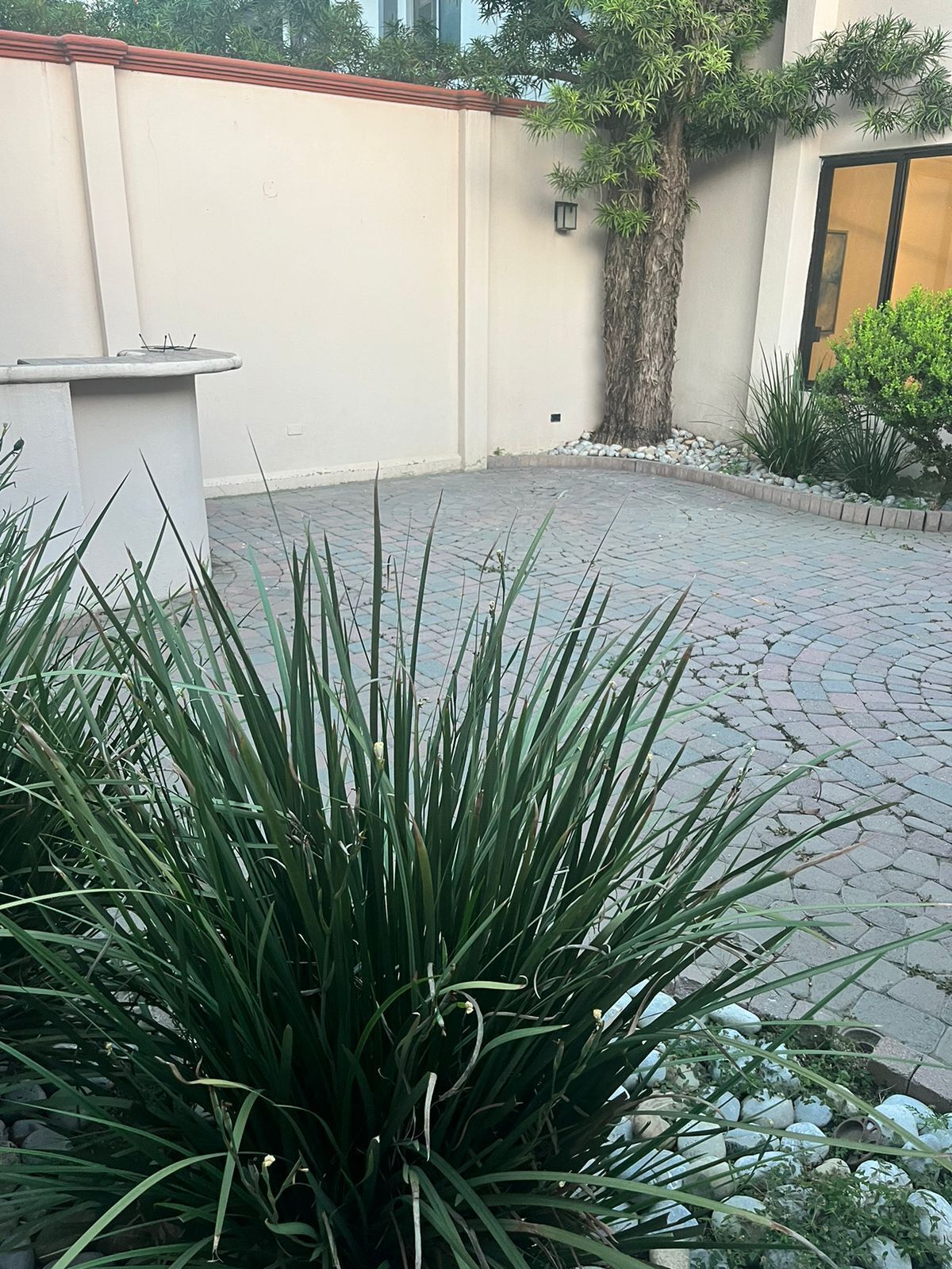 5 de 11: Patio