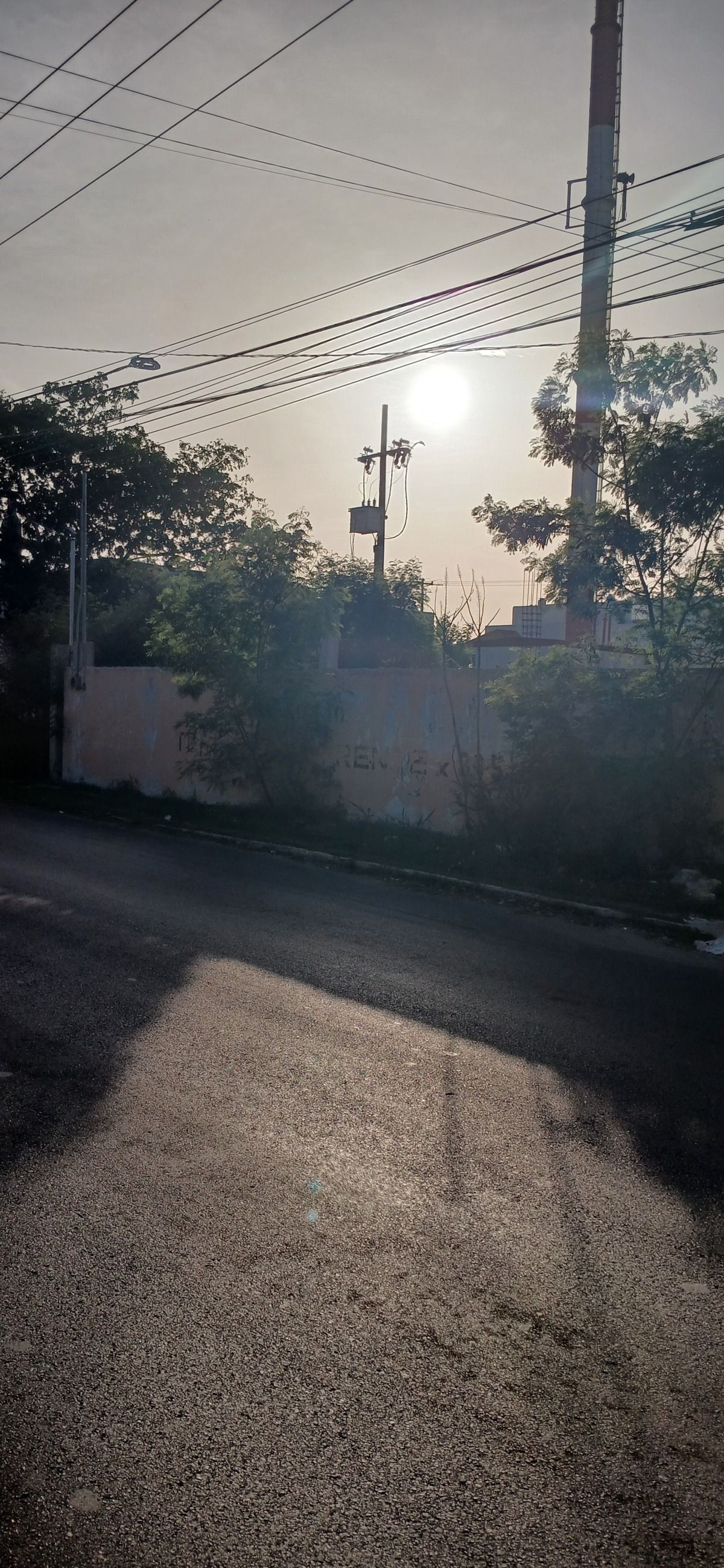 4 de 4