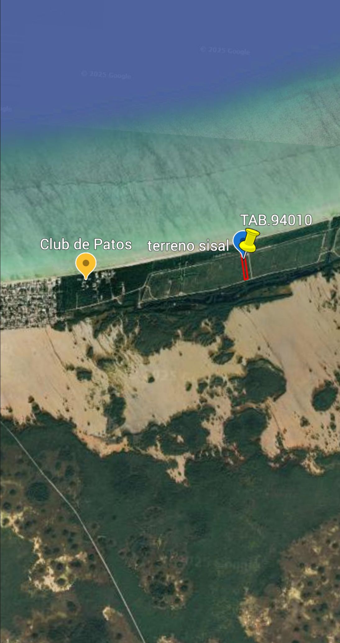 1 de 16