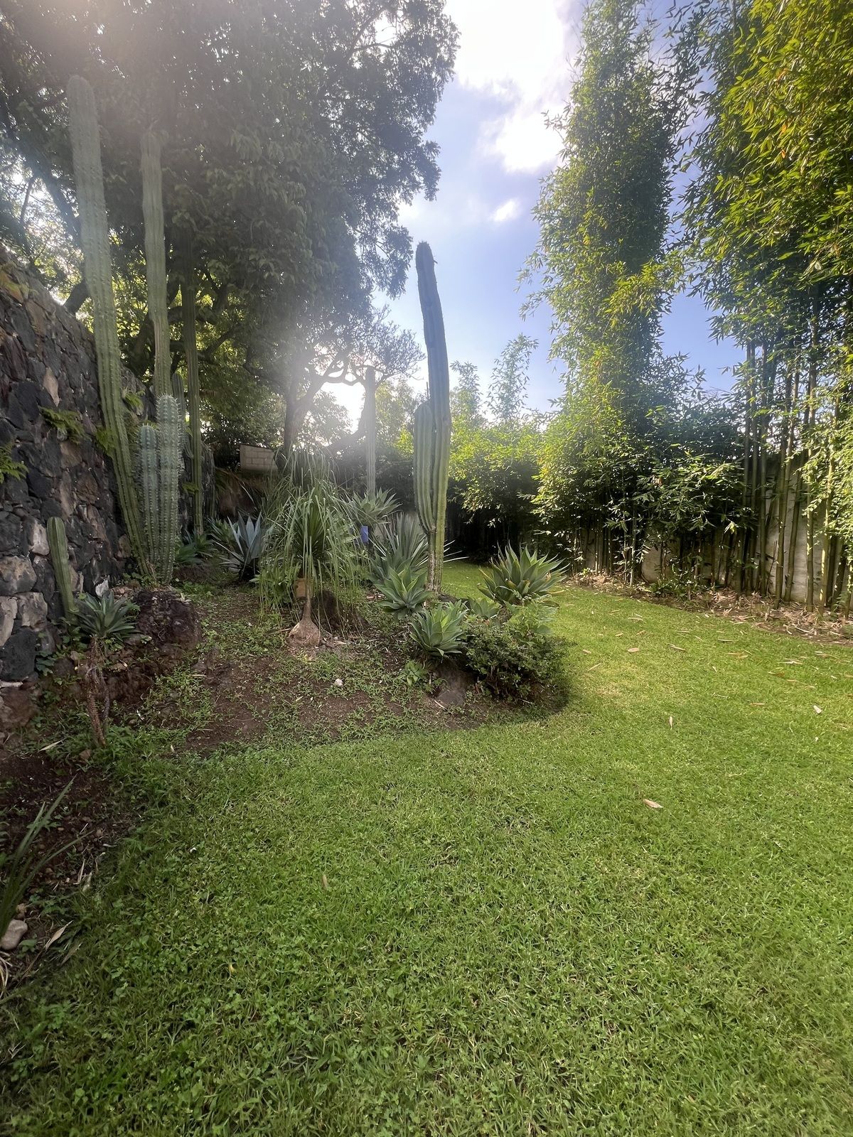 8 de 35