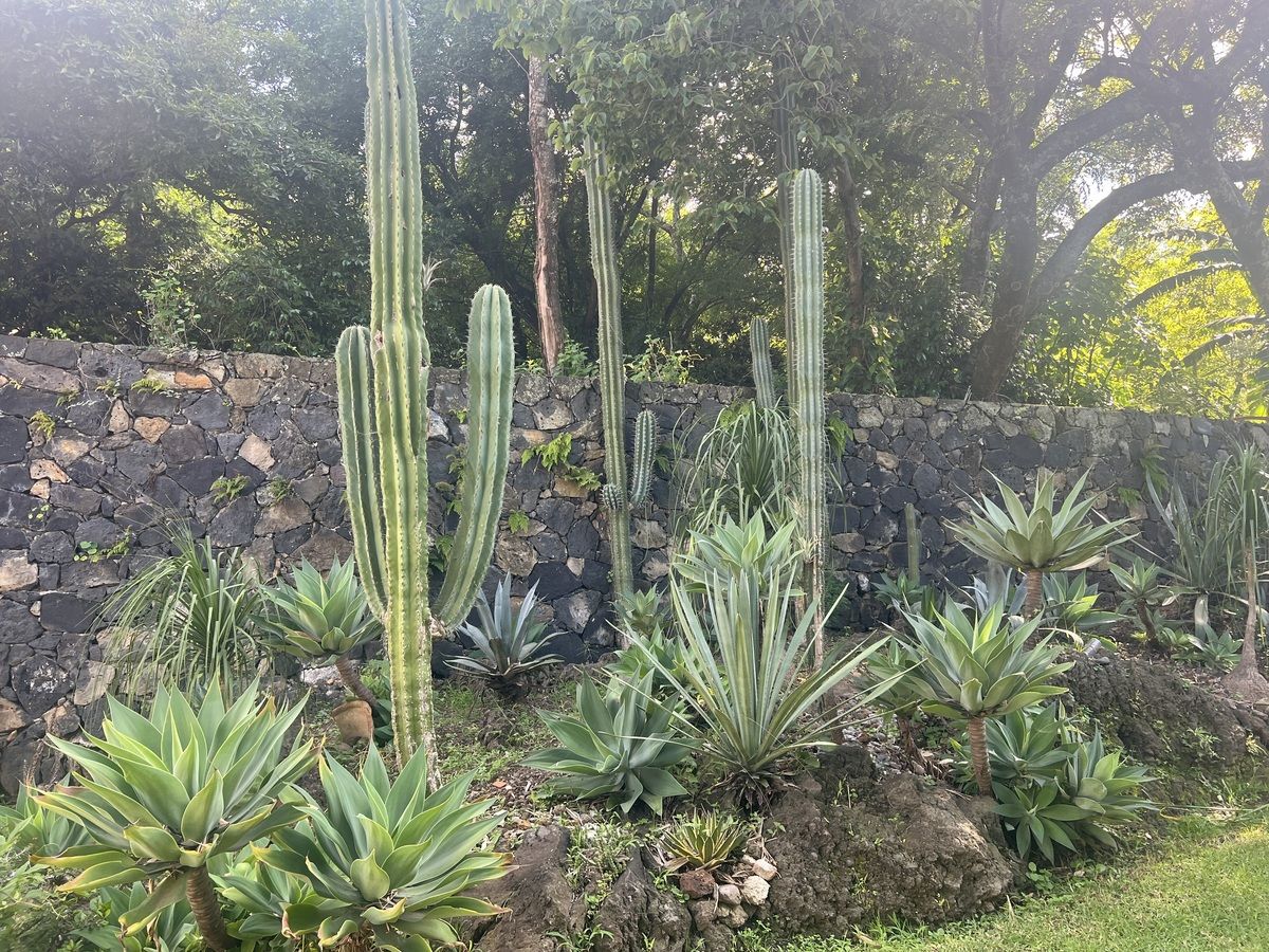 10 de 35