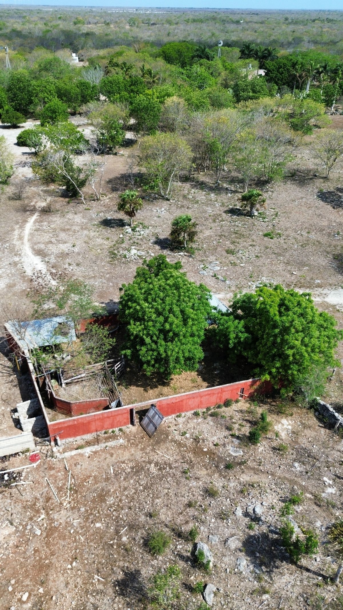 5 de 48