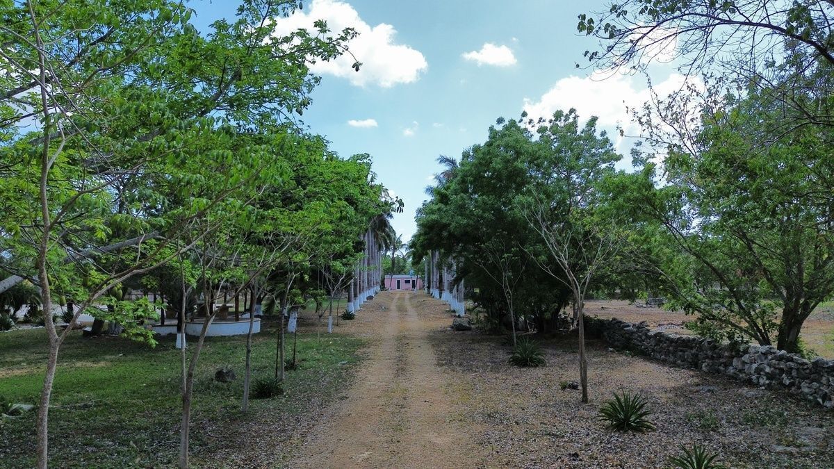 2 de 48