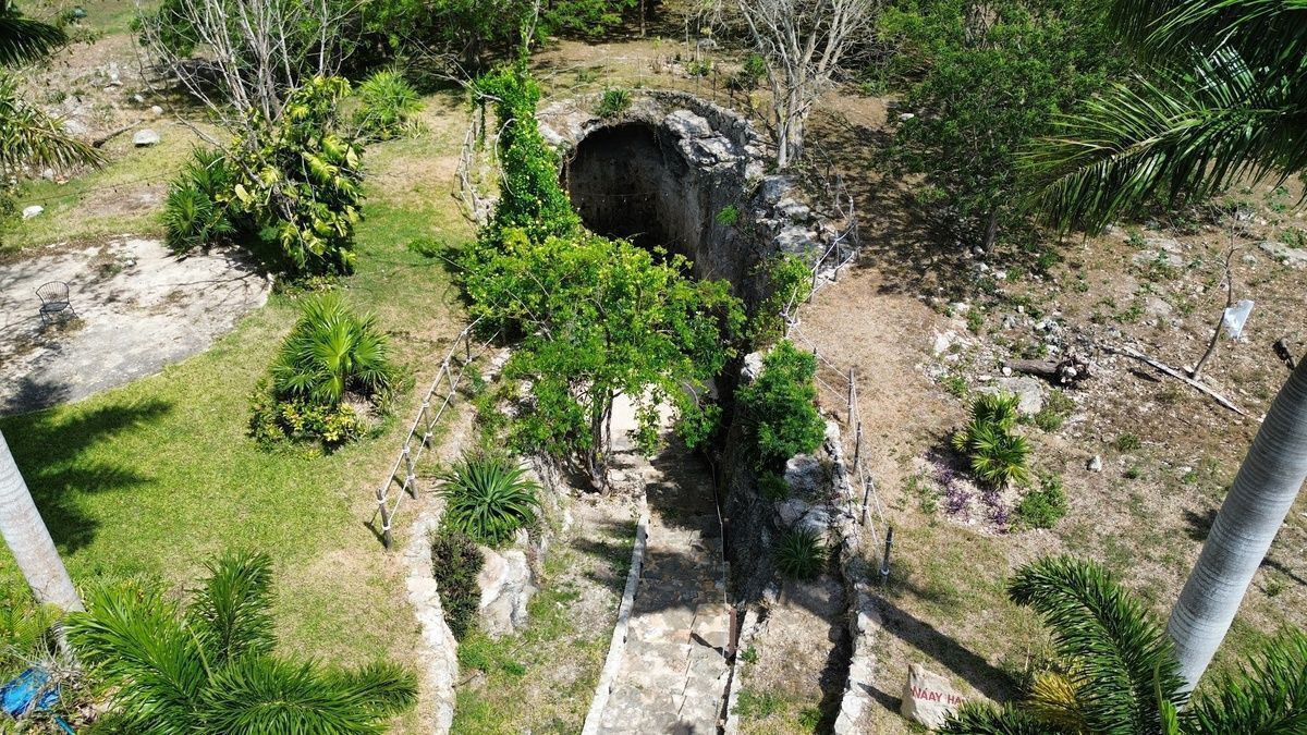 11 de 48