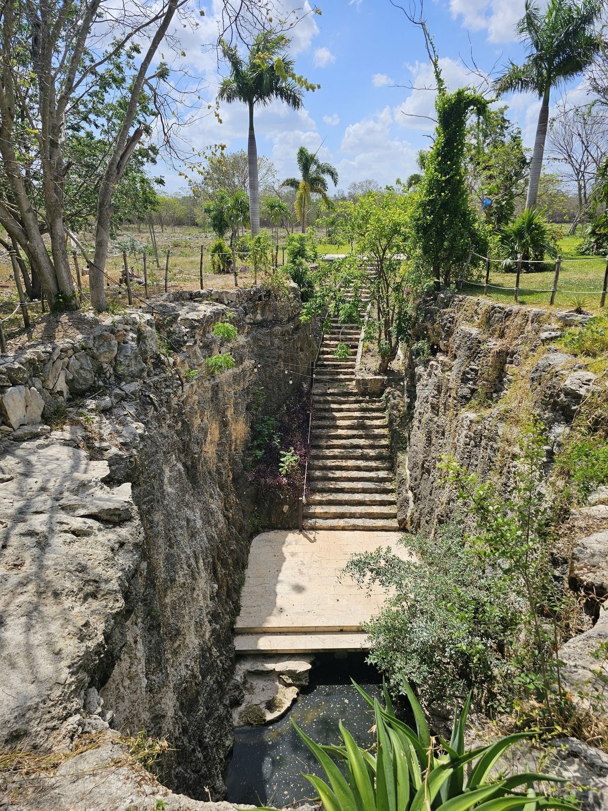 13 de 48