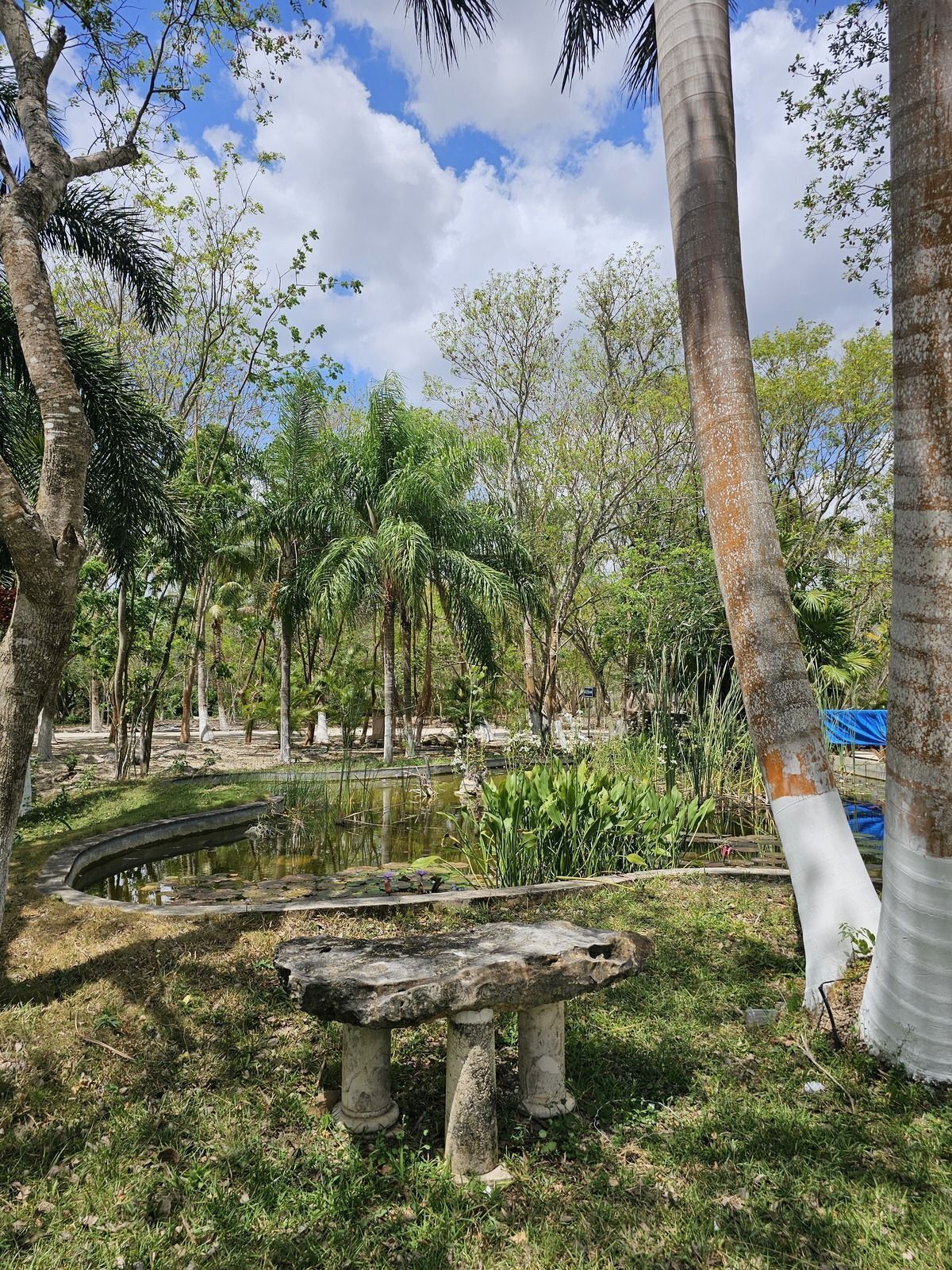 14 de 48