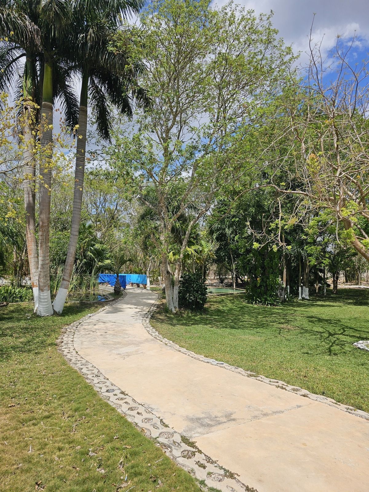 15 de 48