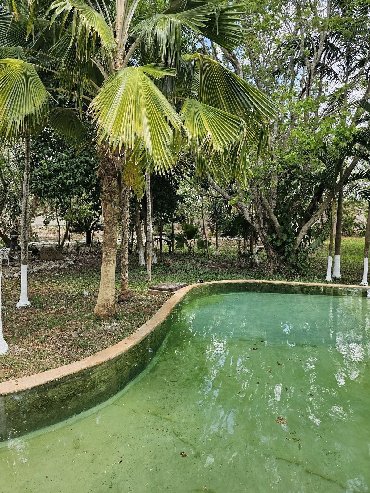 18 de 48