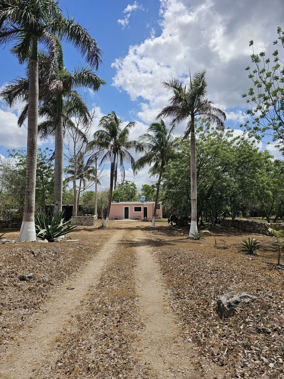 20 de 48