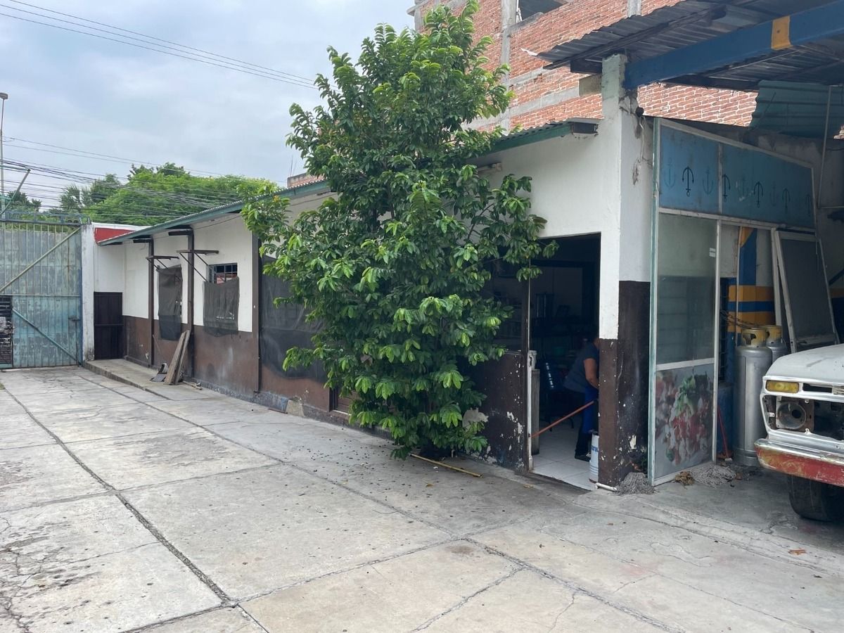 5 de 6
