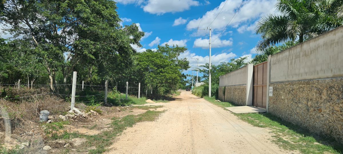 2 de 7