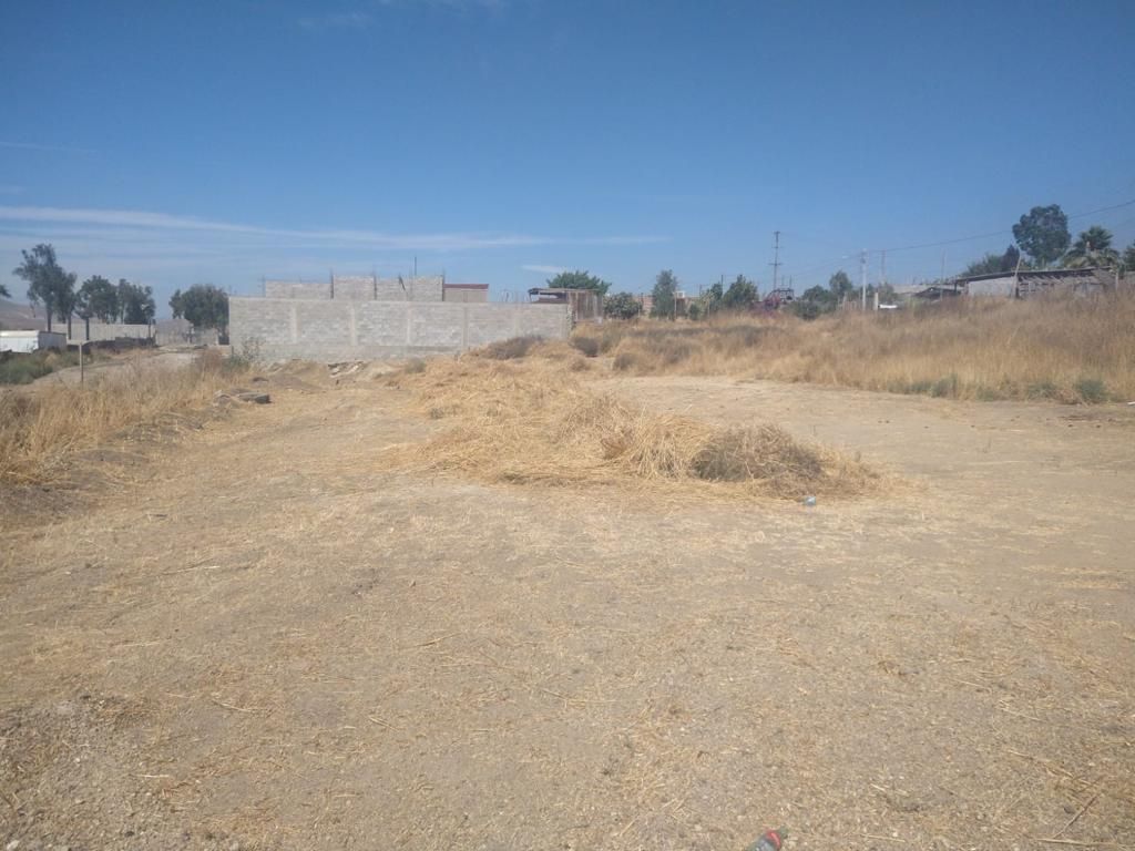 1 de 4