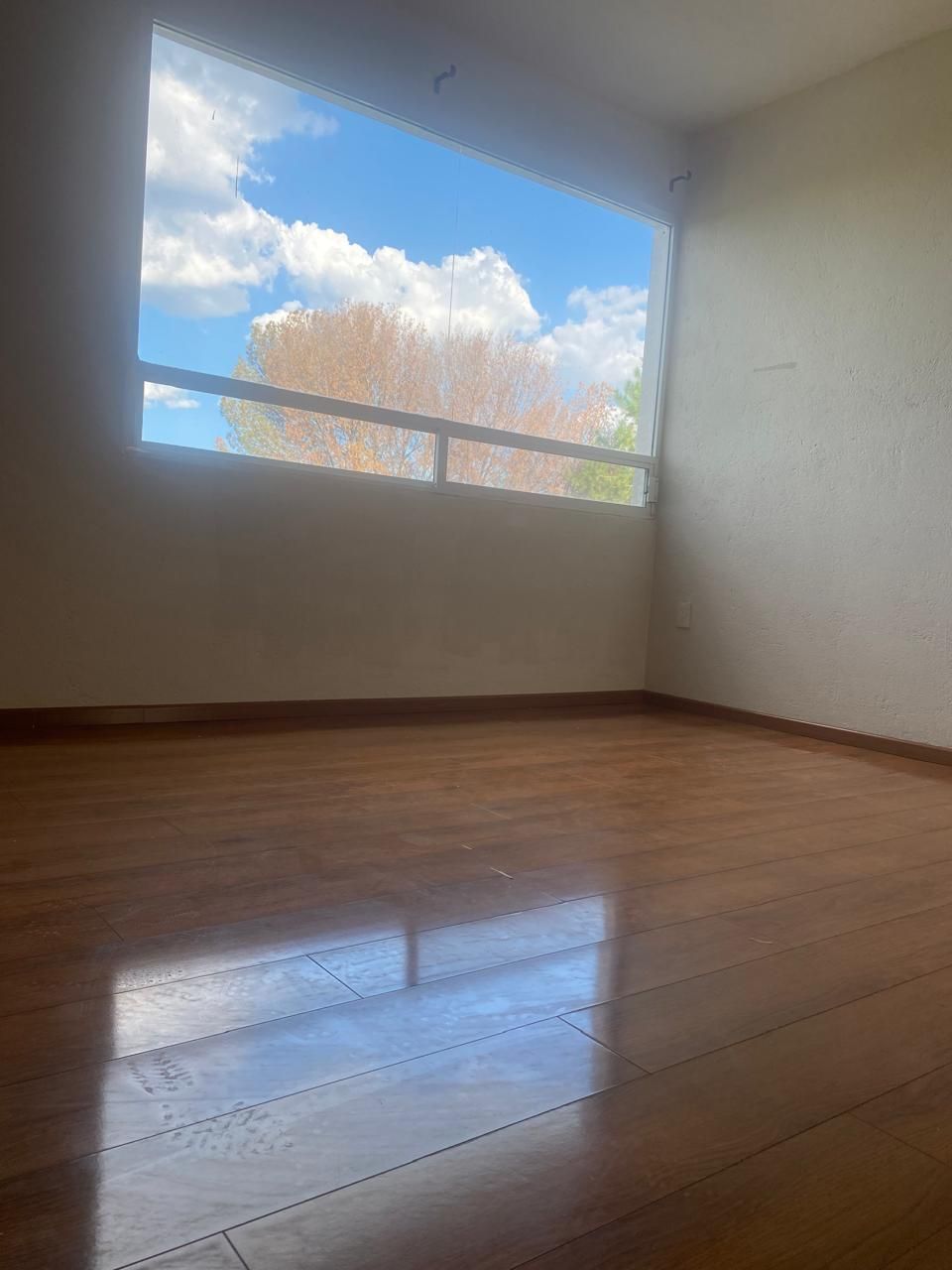 7 de 18