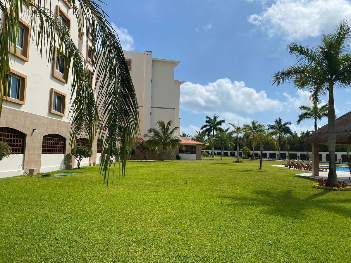 9 de 31