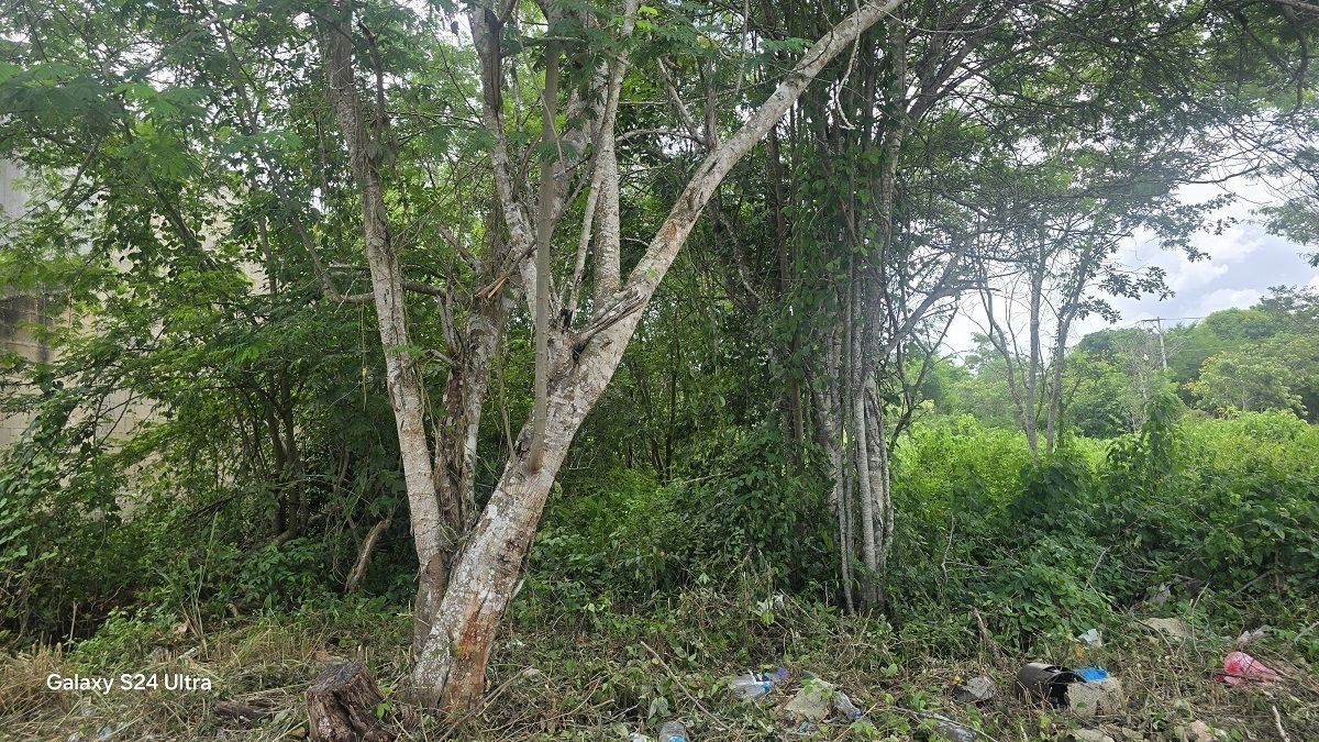 2 de 4: Otra vista de l lado del terreno