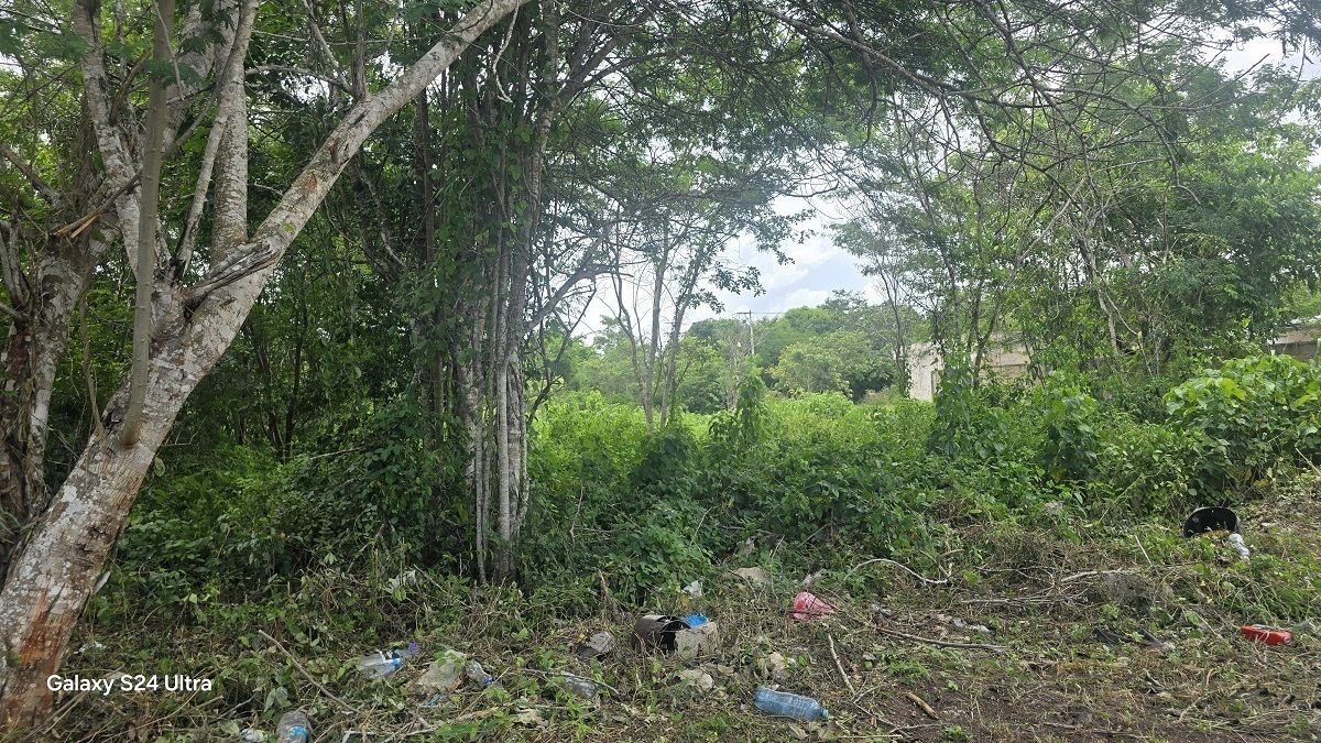 3 de 4: Vista del fondo del terreno