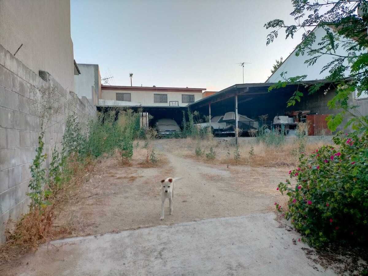26 de 26