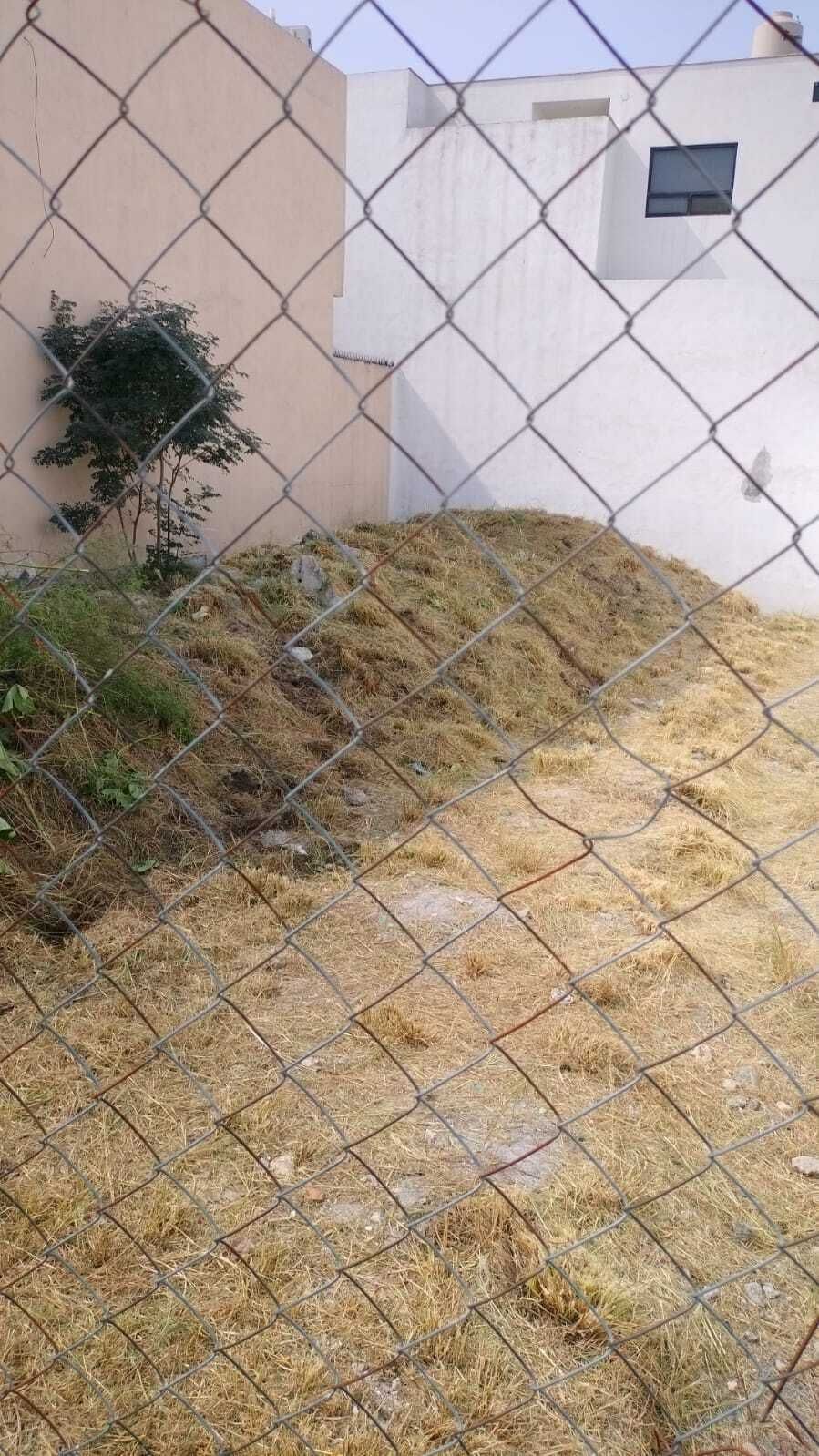 1 de 2