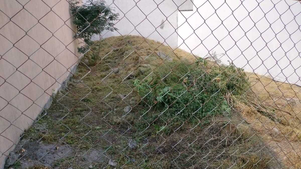 2 de 2