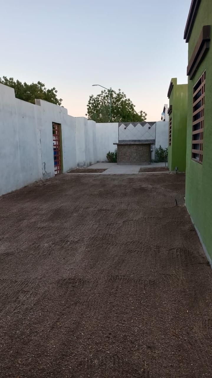 19 de 25