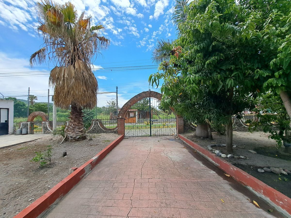2 de 11