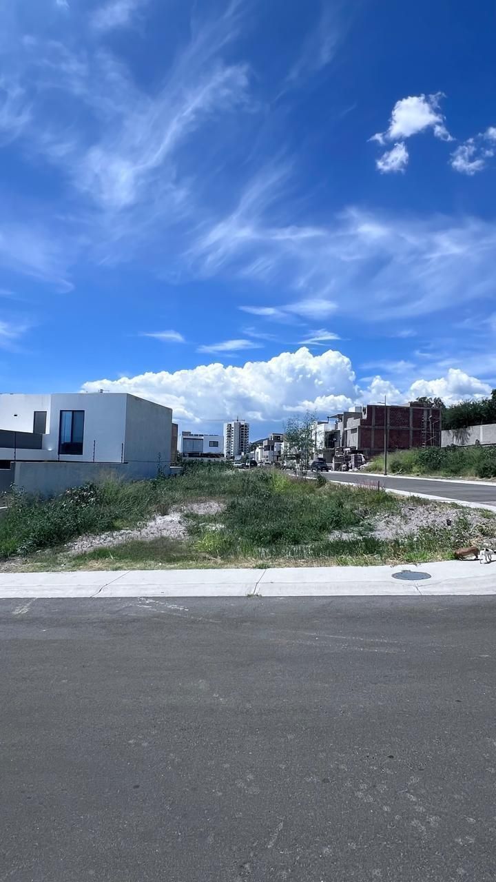 1 de 6