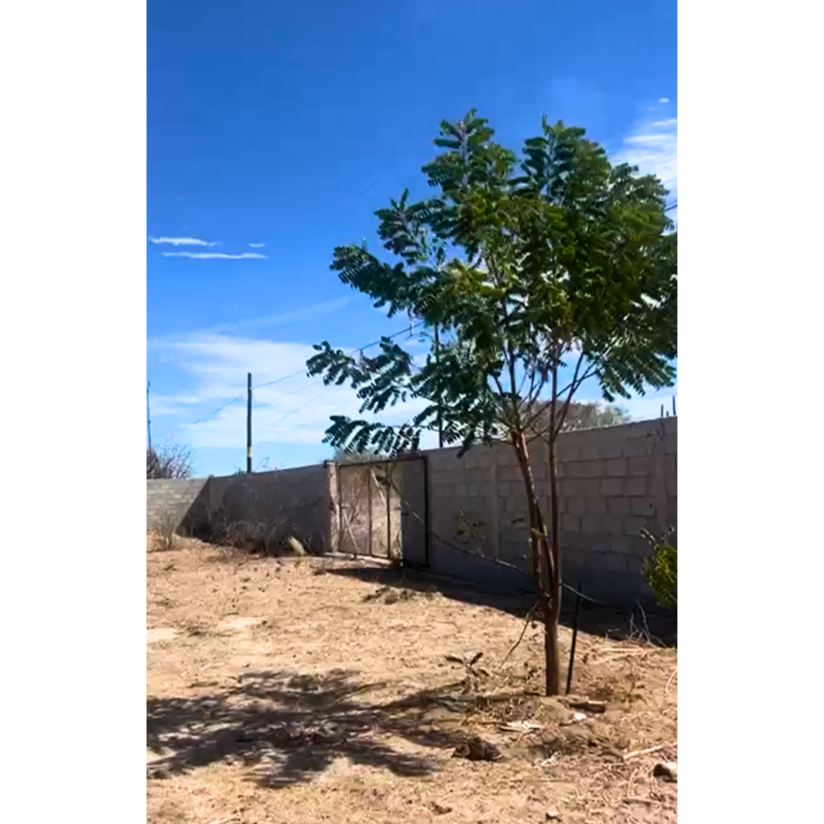 1 de 4