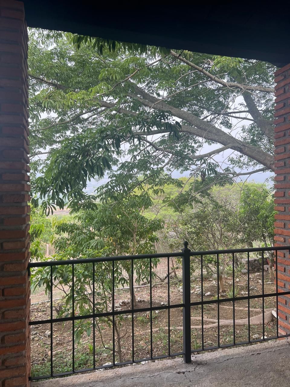 22 de 22