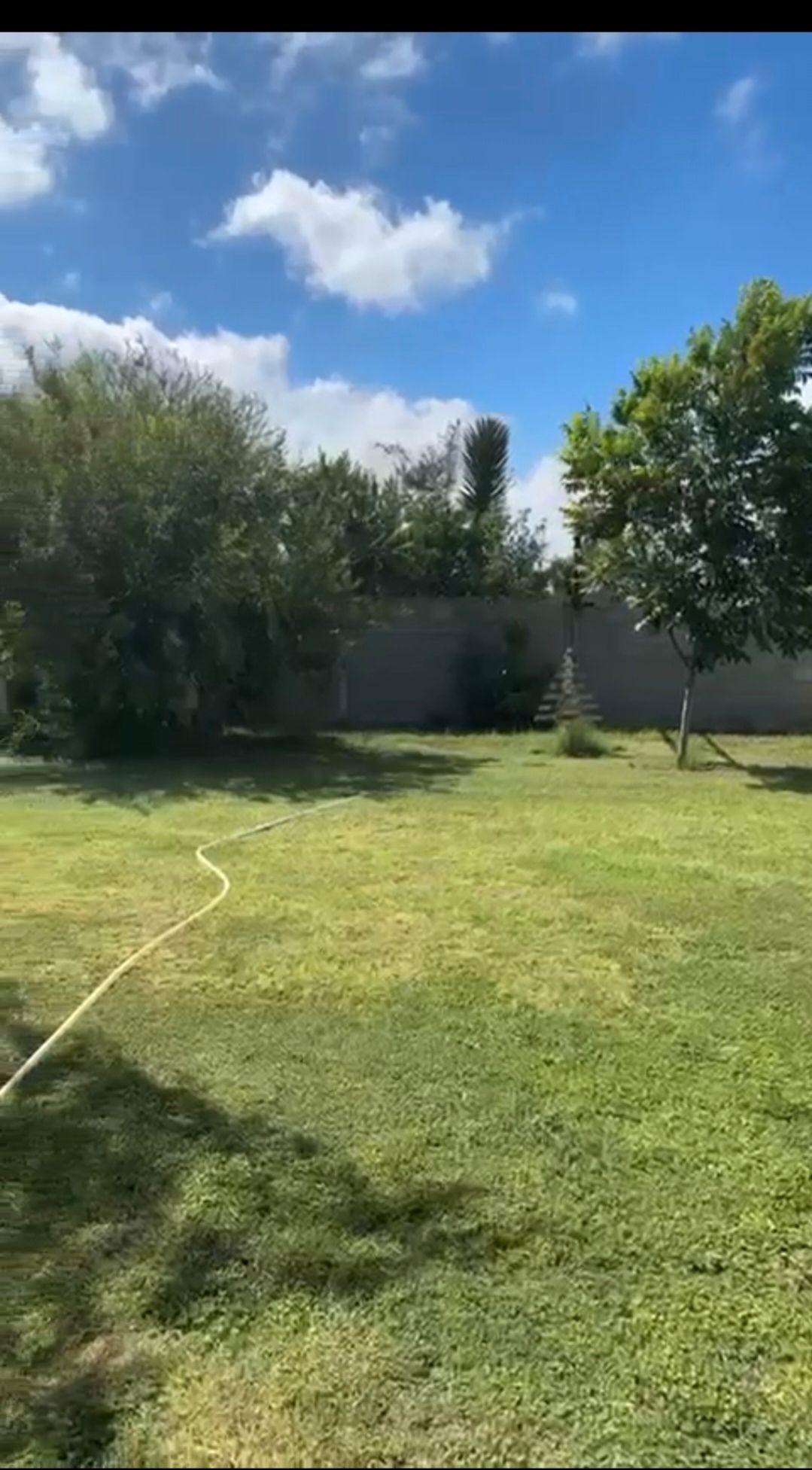 6 de 18