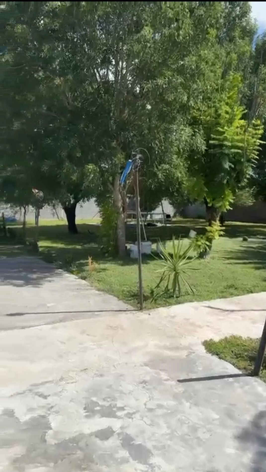 5 de 18