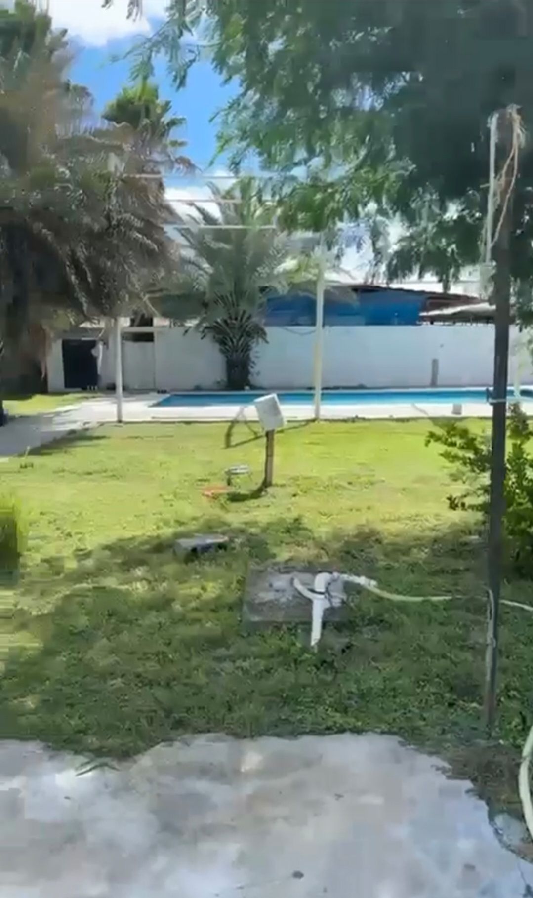 3 de 18