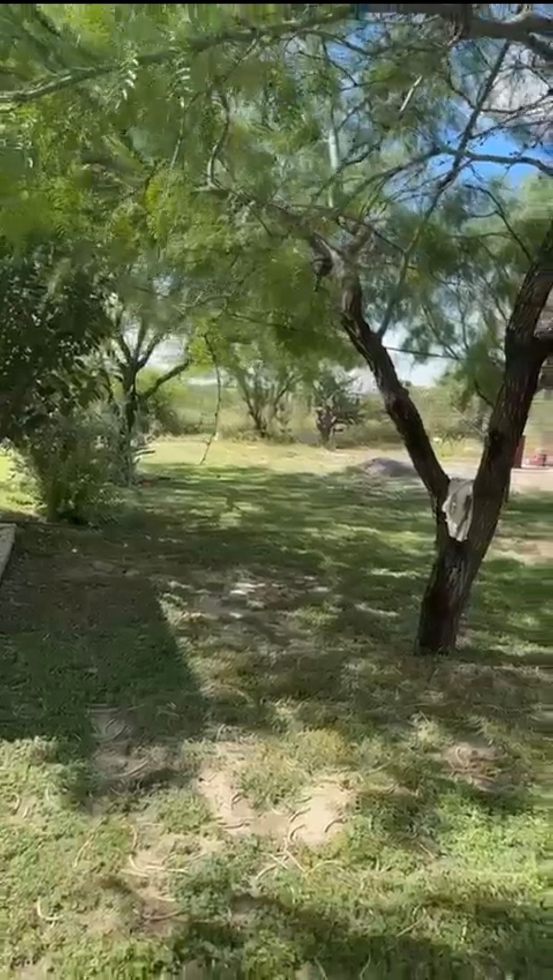 13 de 18
